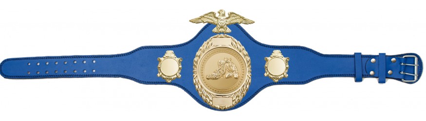 JIU JITSU CHAMPIONSHIP BELT-PLT288/G/JJG-4 COLOURS JIU JITSU CHAMPIONSHIP BELT-PLT288/G/JJG-4 COLOURS